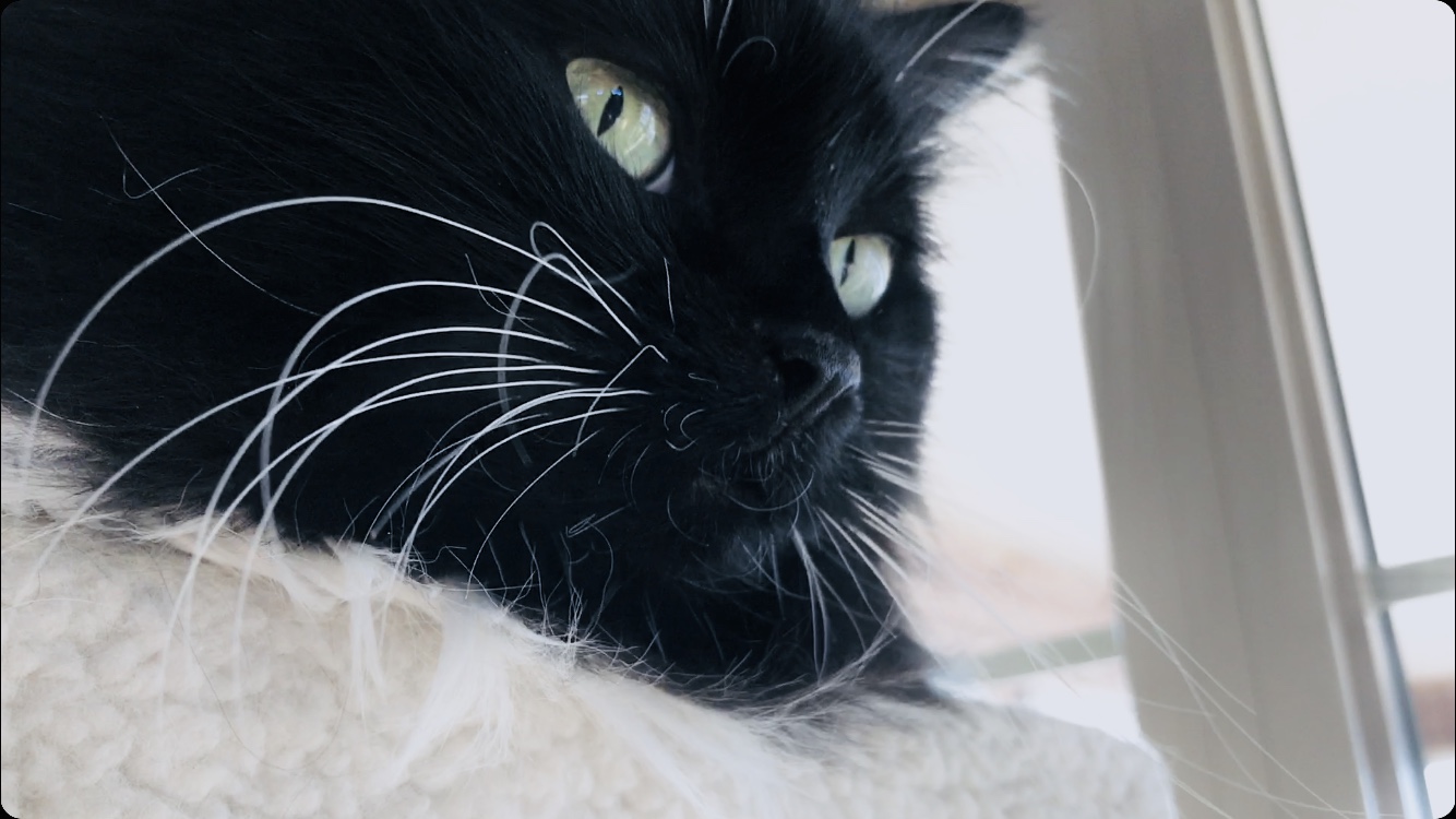 001F6484-44DB-4446-A625-215757608660.jpeg