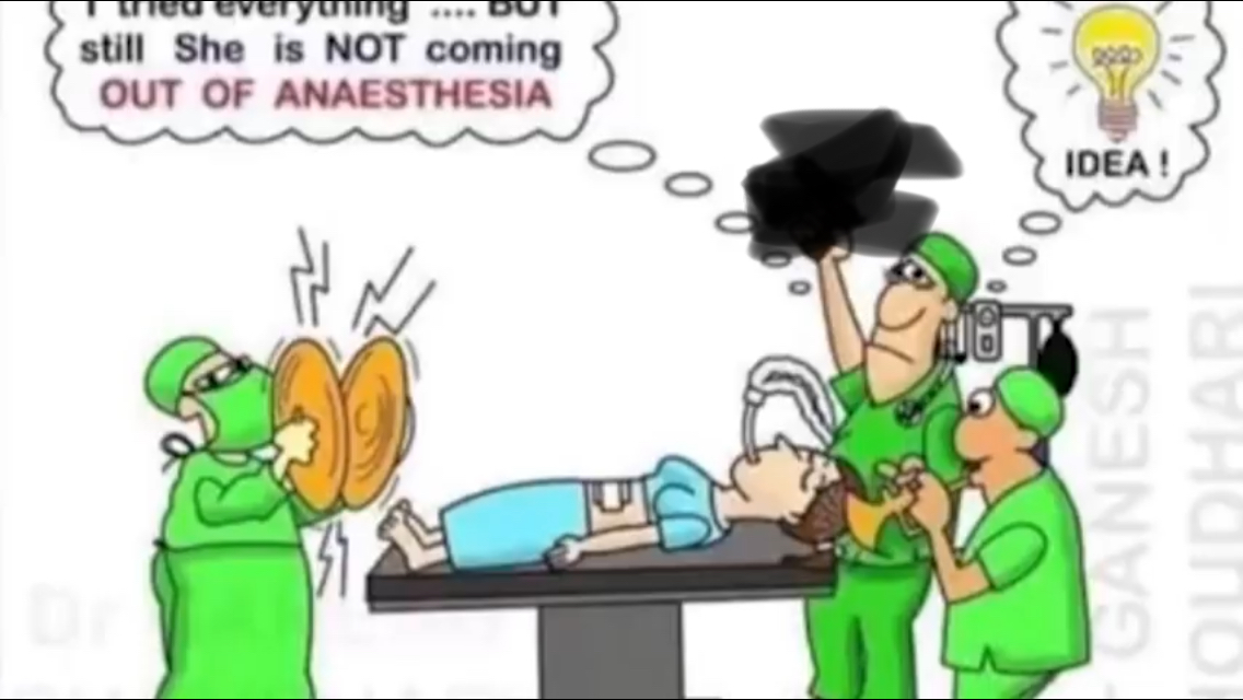 017560C0-B9C9-4DDC-93C2-91F452948F3F.jpeg