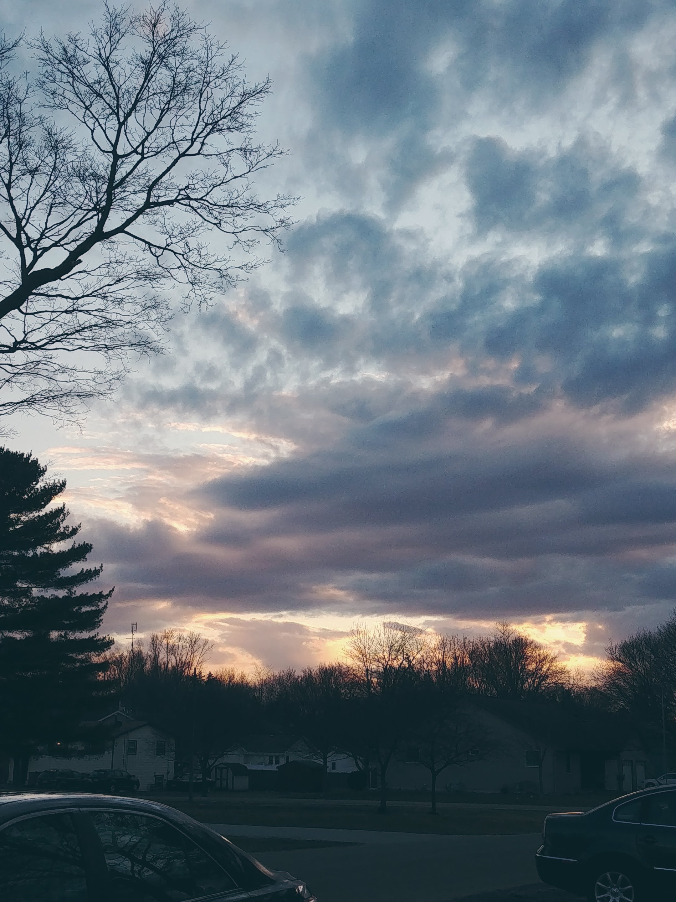 0305201731.jpg