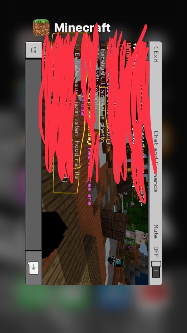 037D79E5-CE4F-4D93-B545-724524AD1ED2.jpeg