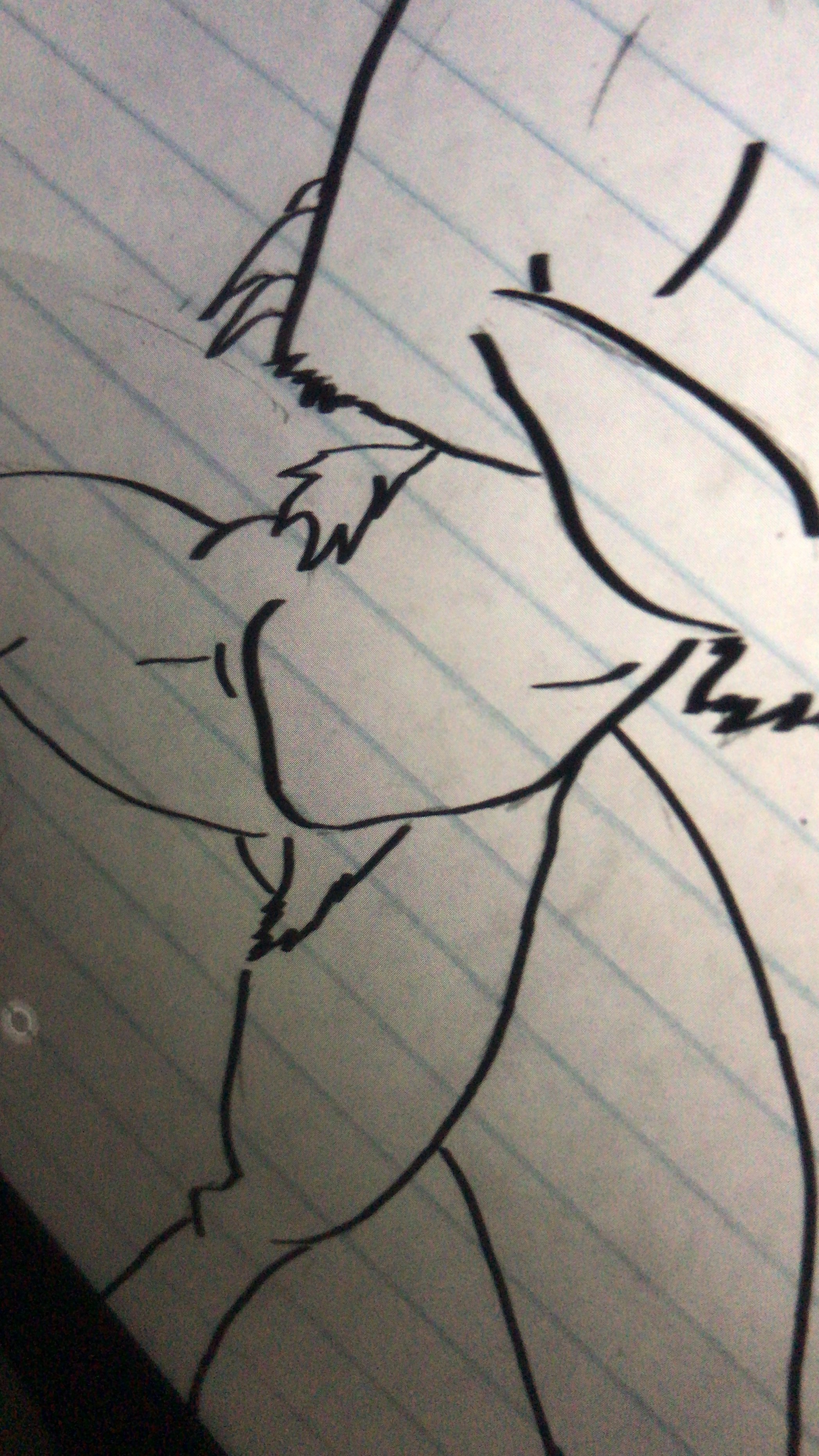 048AD95F-ABAE-4737-8762-BE0E64E50B1F.jpeg