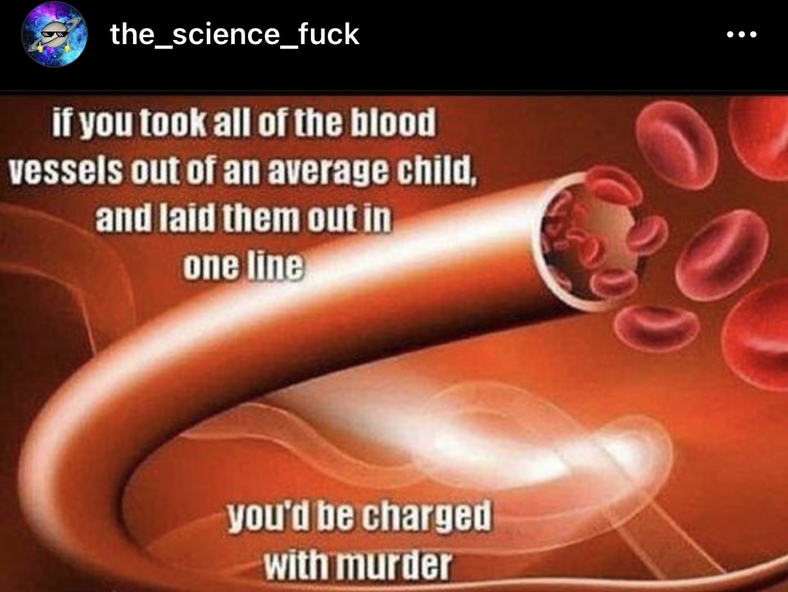 07390437-CED5-4593-A4AC-B7E9B3DA7C93.jpeg