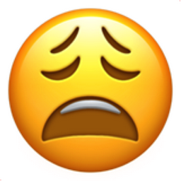 080B1001-D319-4CD2-8496-1BE74C630AB0.png