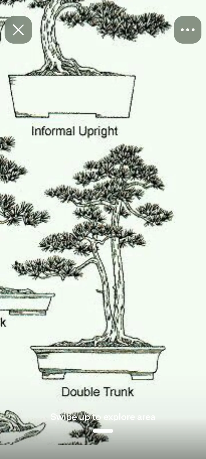 1000021562.webp