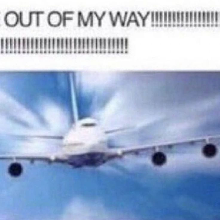 1000028882.jpg