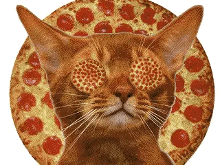 1108D2tVaUN3eo.gif