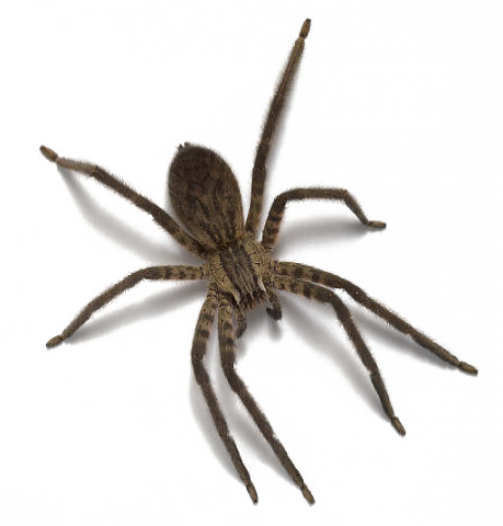 11FD91E2-4317-4BF7-9759-11CFFC106150.png
