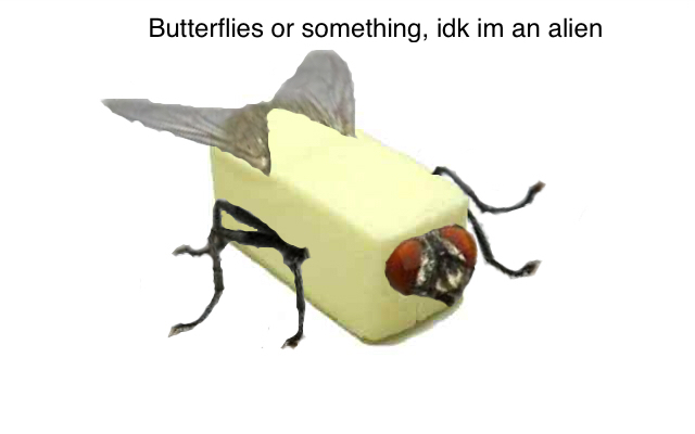13CE4645-3C3A-4C6C-8486-92035D1C728B.jpeg
