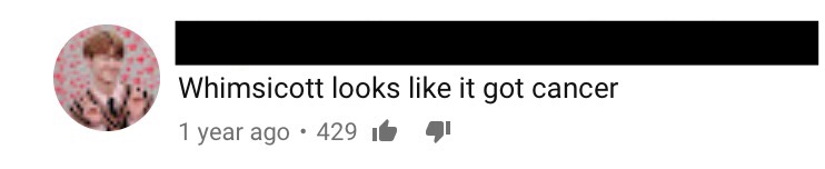 1530404074598.jpeg