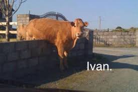1719D1E3-68B3-4023-8EB6-0E2E6A35B3F9.jpeg