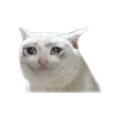 1781982846931.png