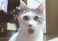 1dae69e1530554070019dcfd1ead31255d5ff8d2.GIF