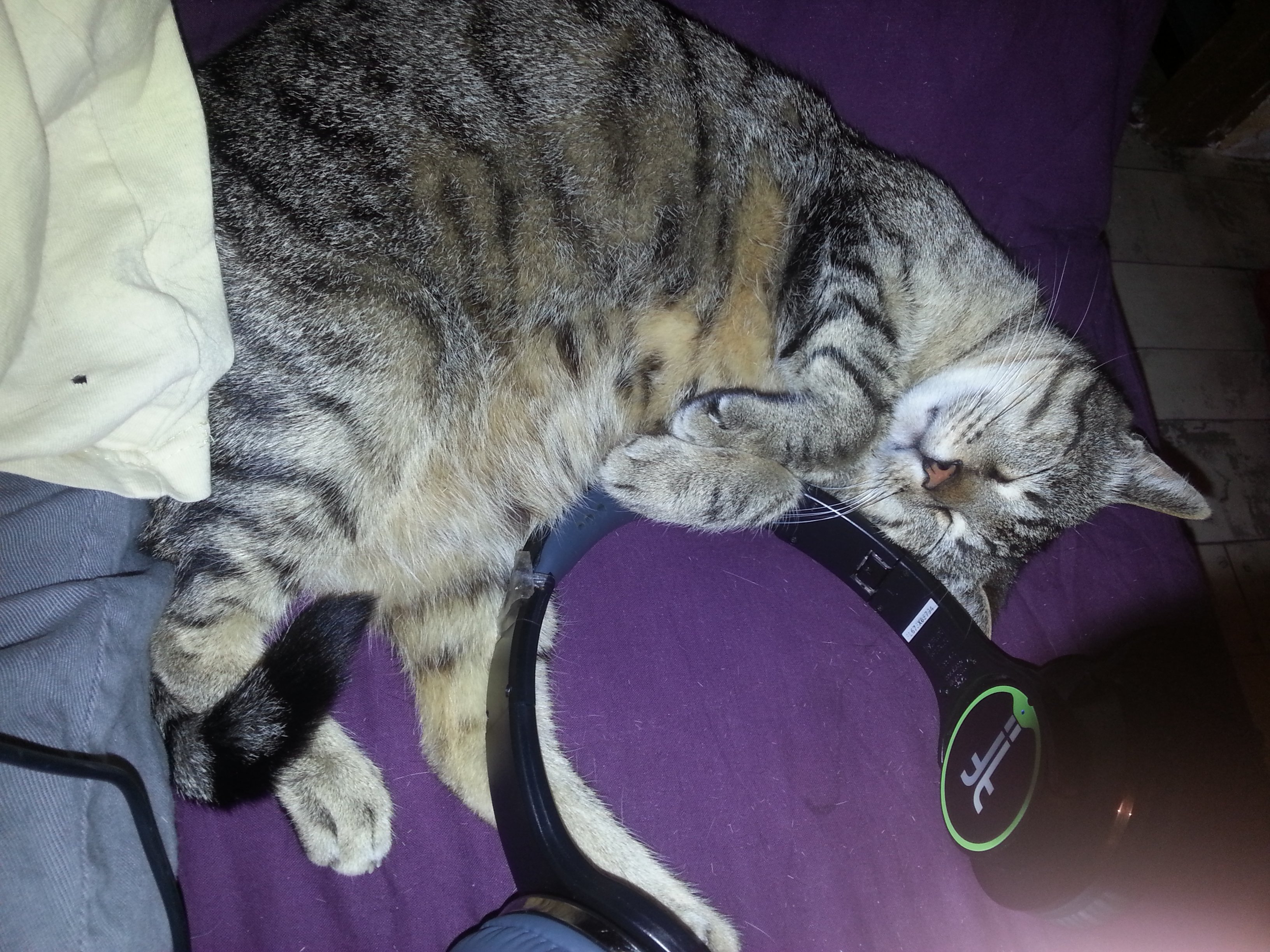 20120112_205637.jpg