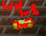 20180406_233736_rmedited.jpg