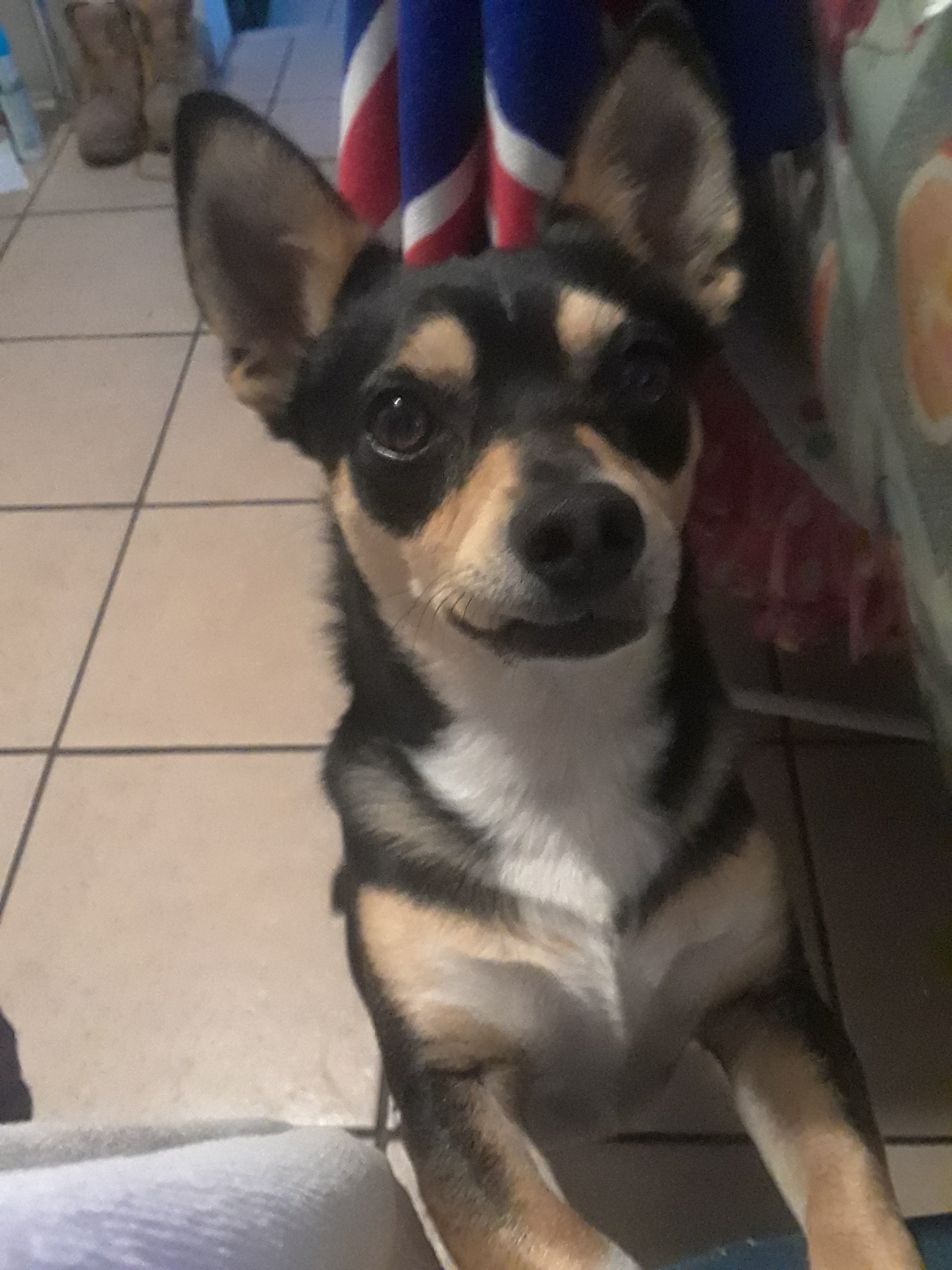 20180511_063137.jpg