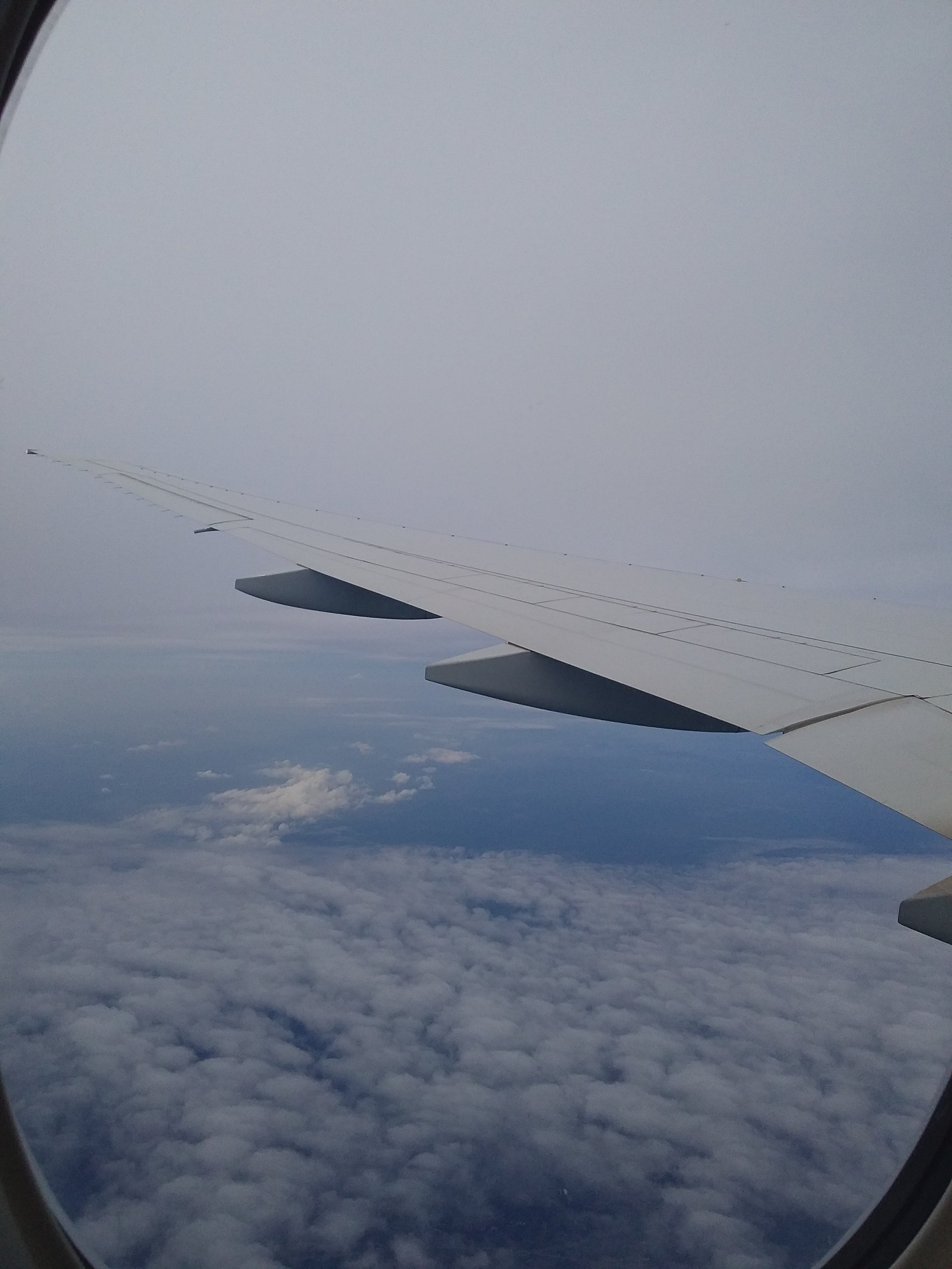 20180608_095636.jpg