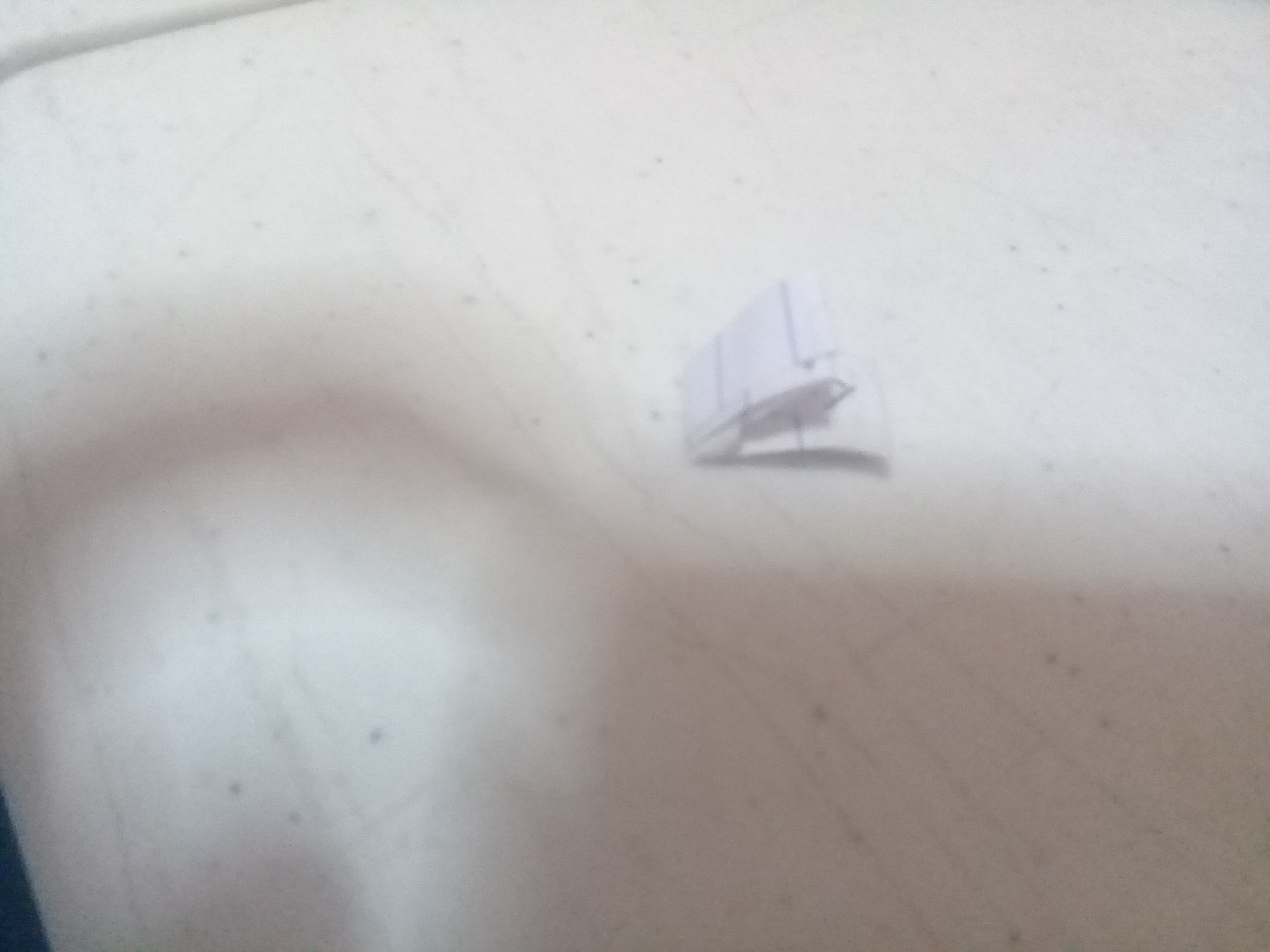 20180723_205114.jpg