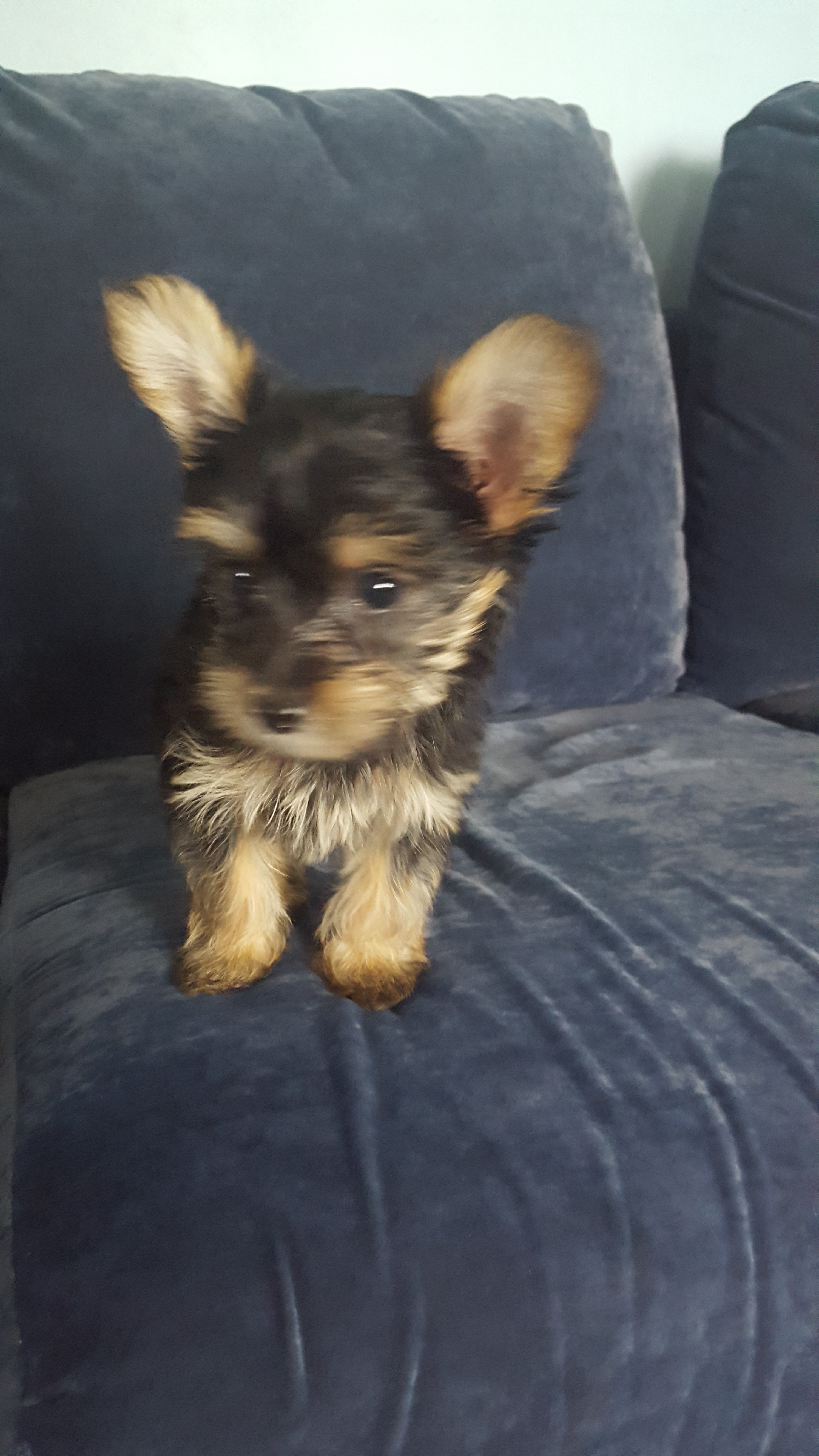 20180728_145245.jpg