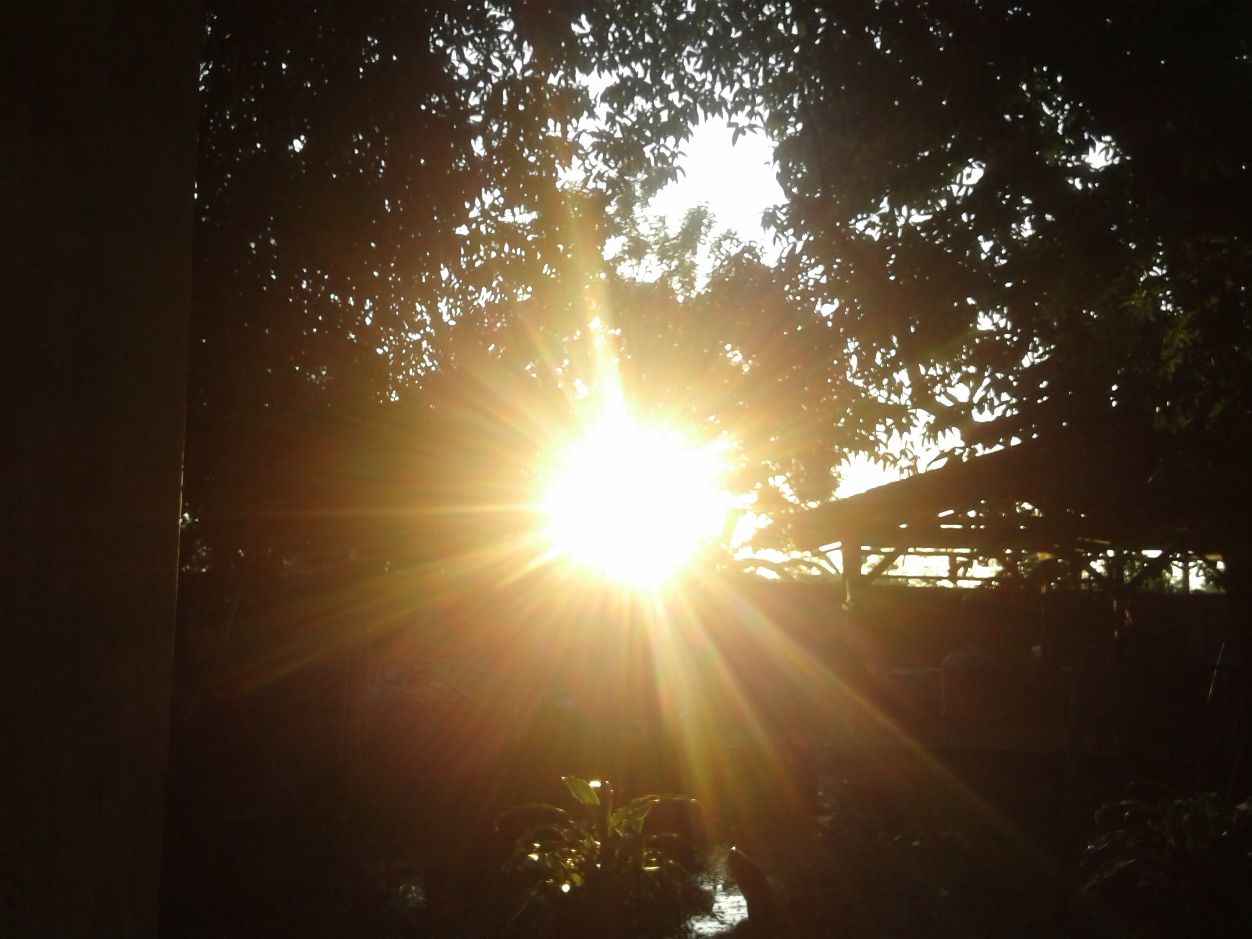20180828_055433.jpg