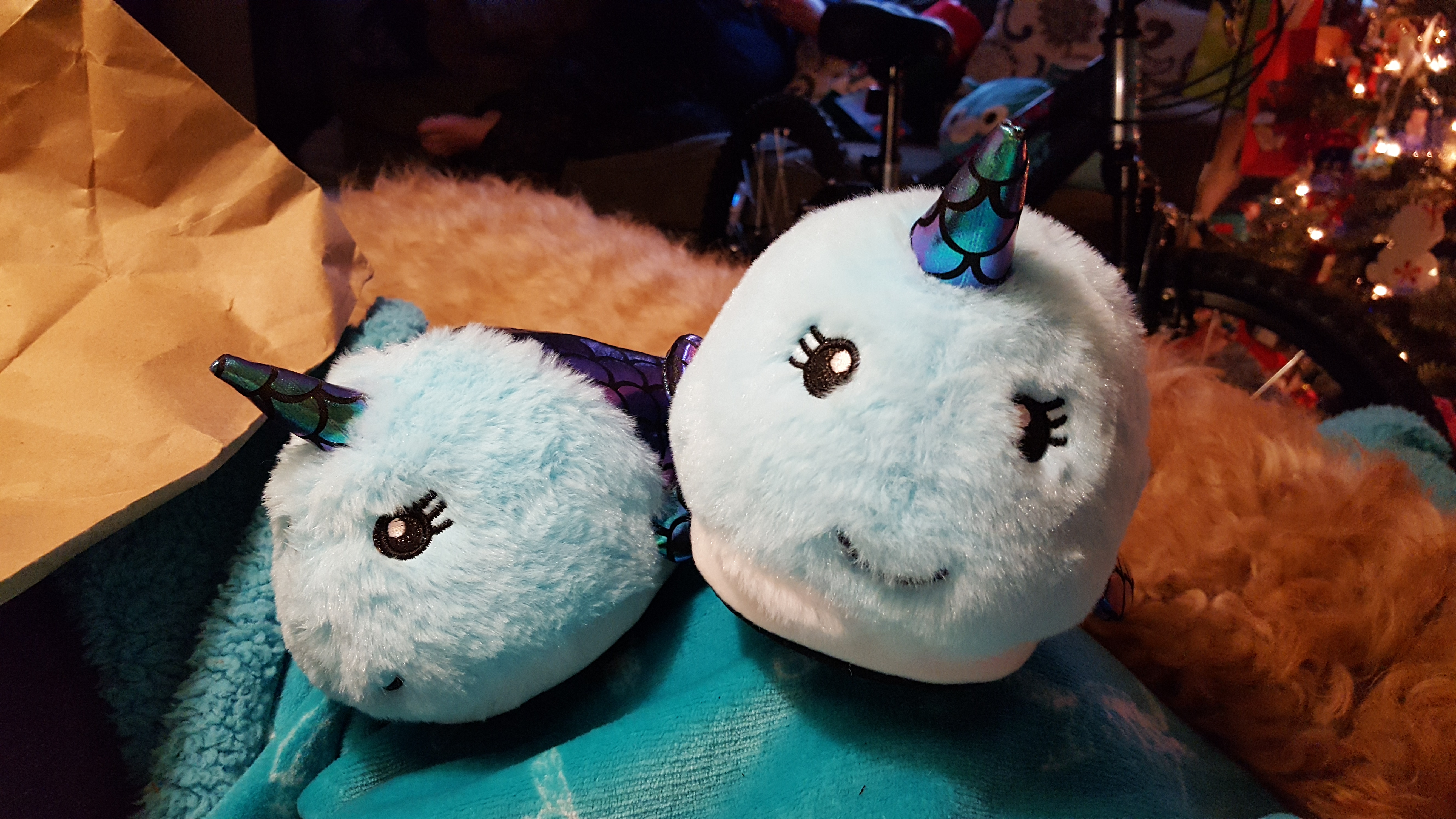 20181225_074025.jpg