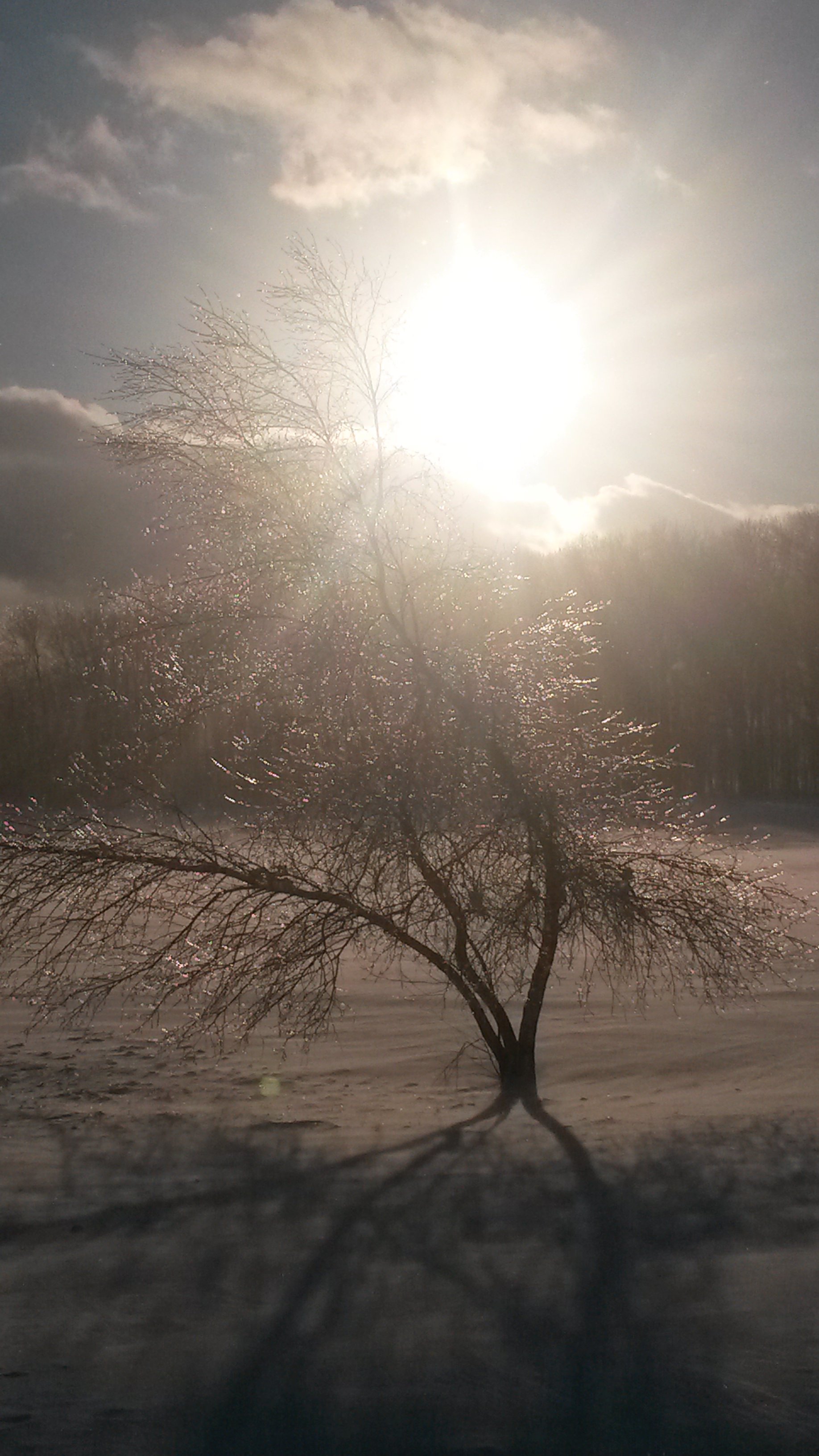 20190224_163707.jpg