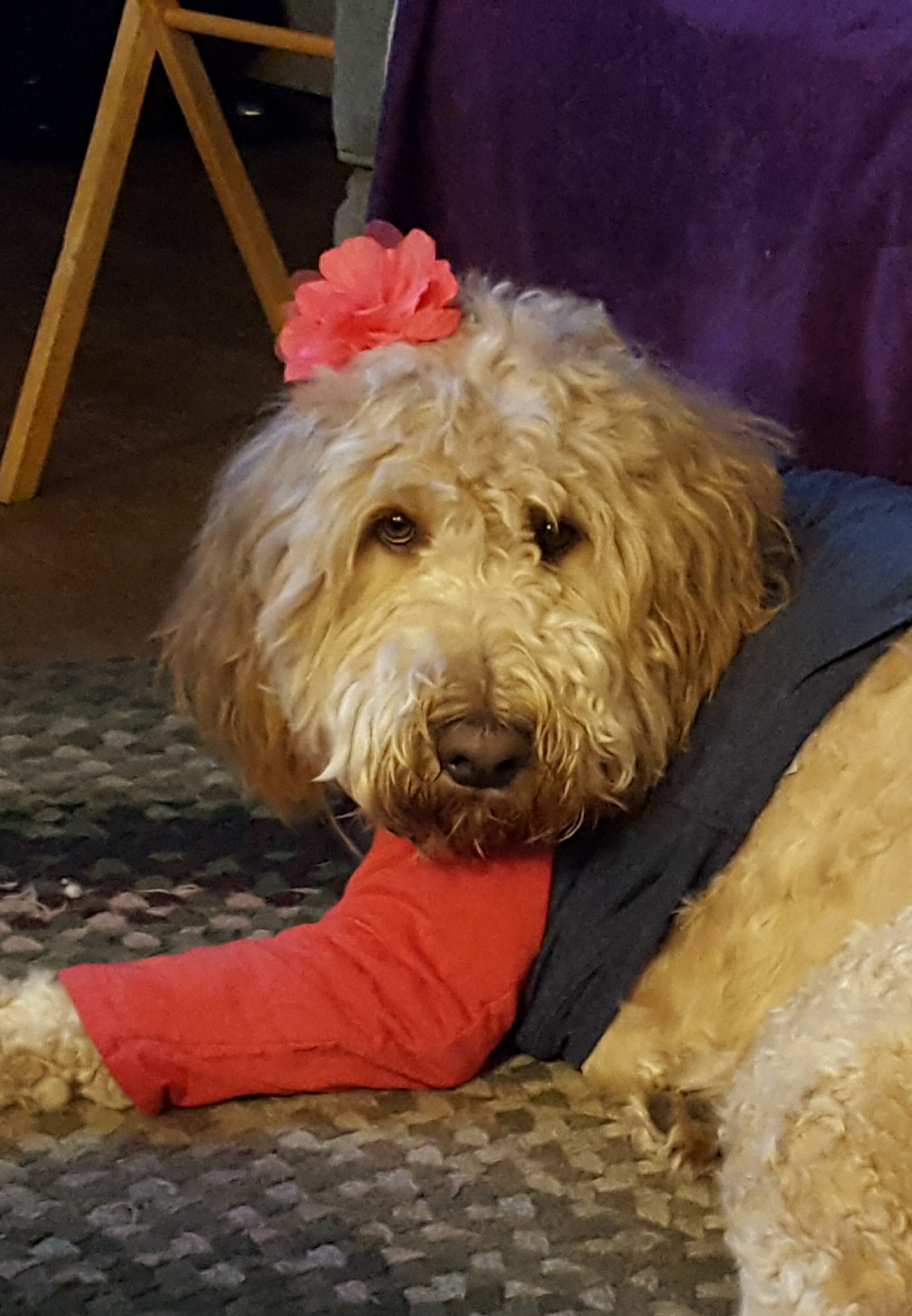 20190329_110056.jpg