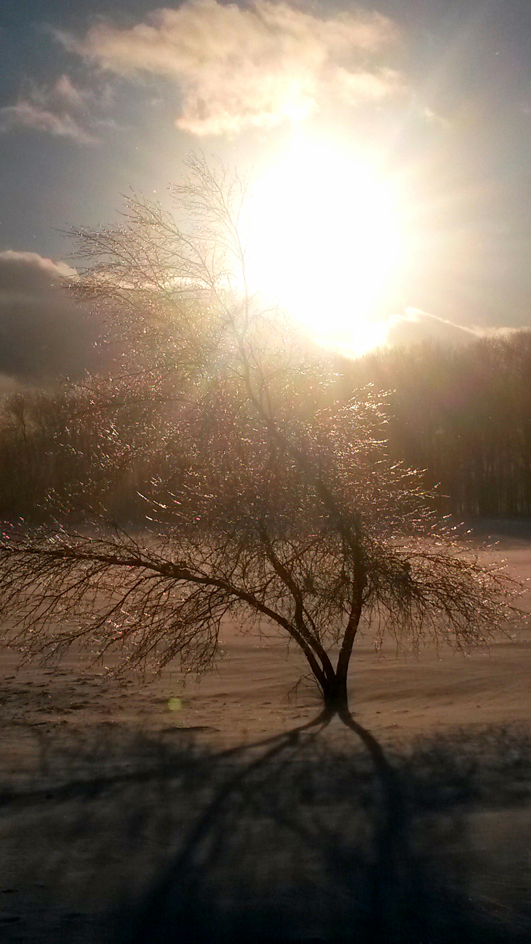 20190406_092842.jpg