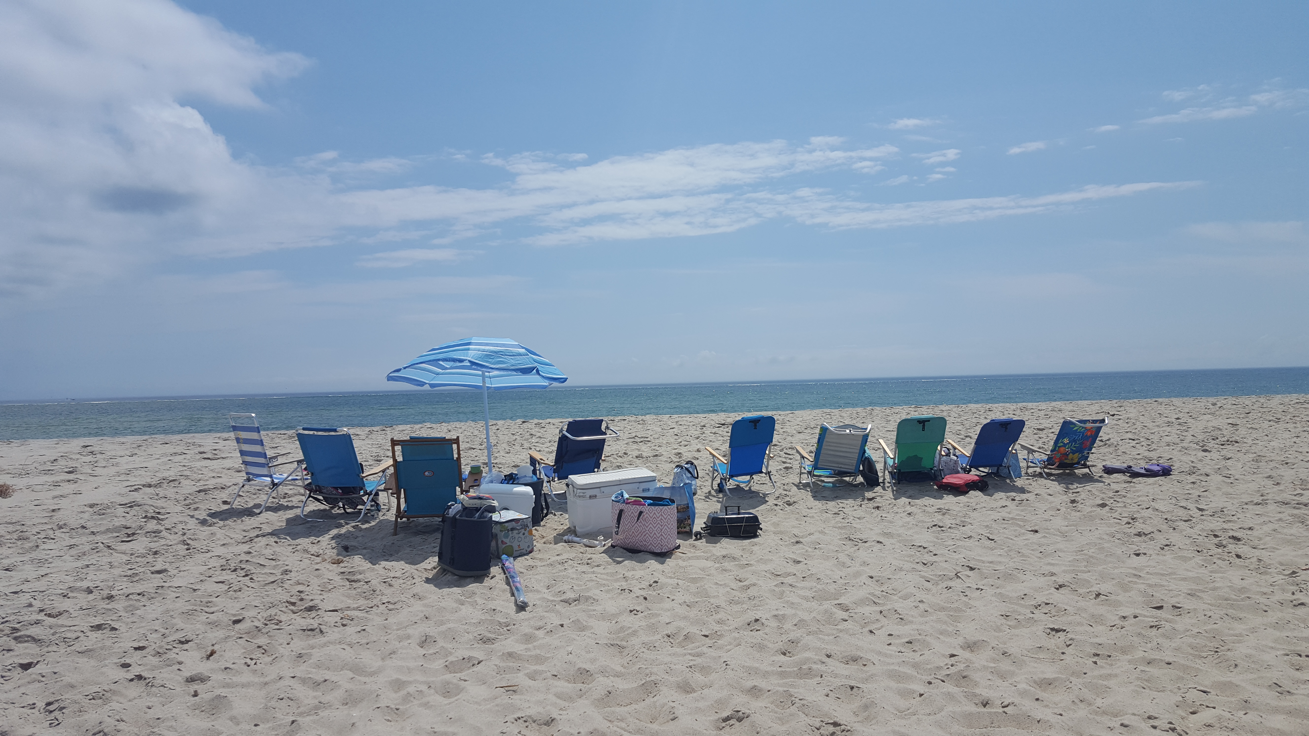 20190804_113949.jpg