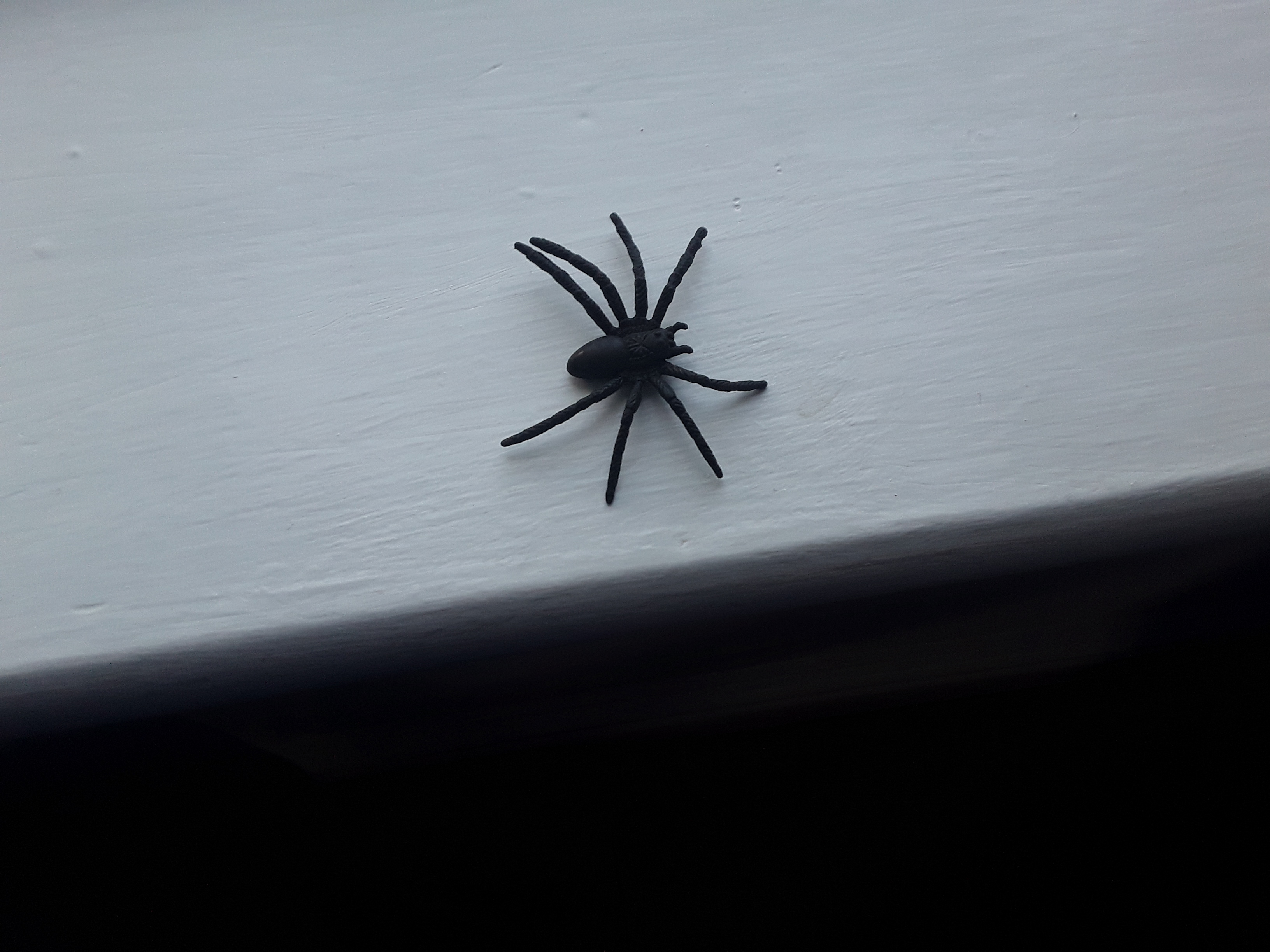 20191026_170734.jpg