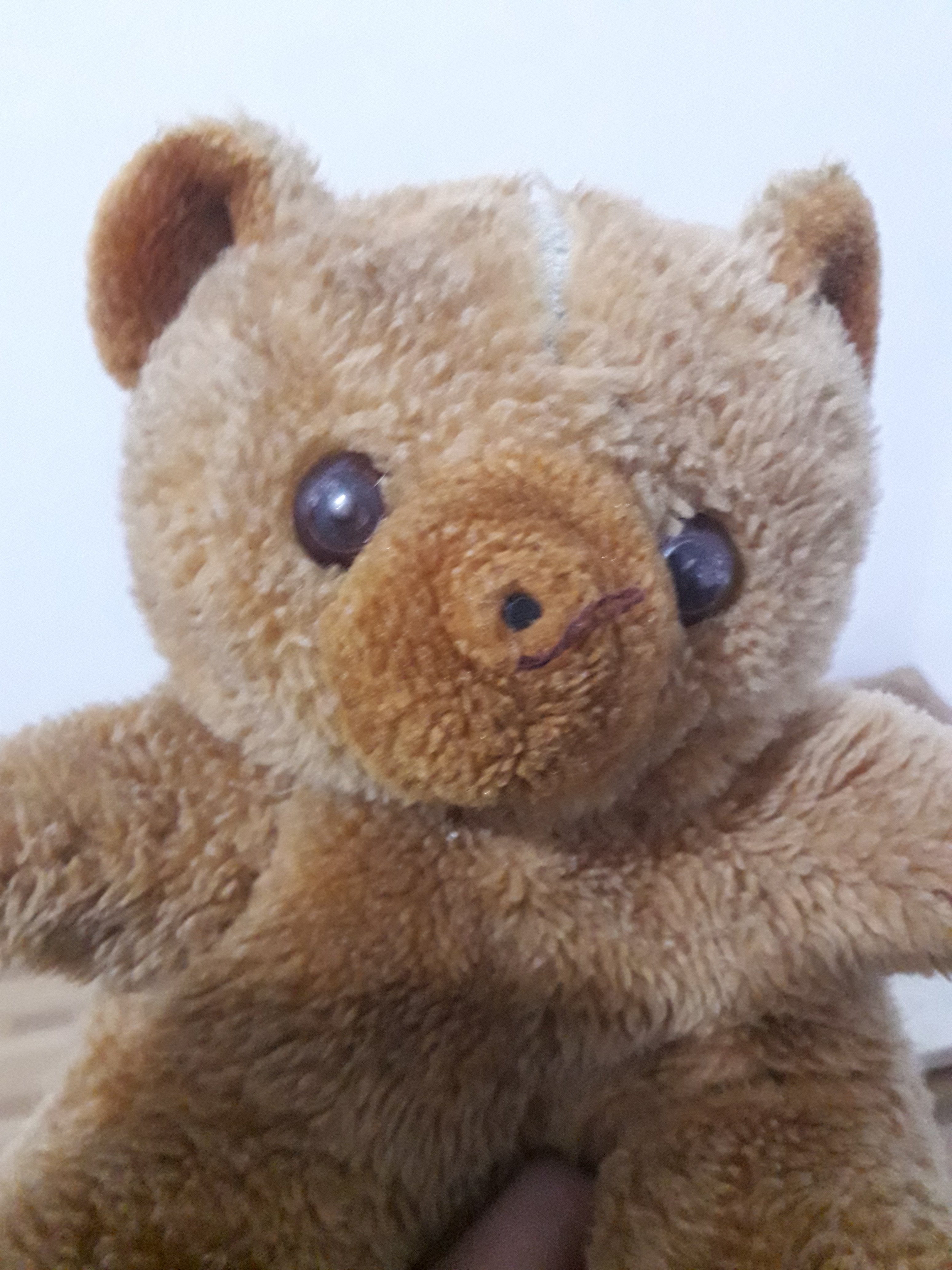 20191128_172816.jpg