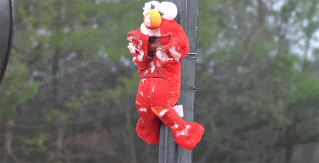 20200614_160706.gif
