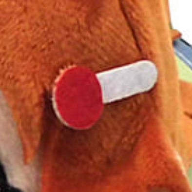 20210602_125218.png