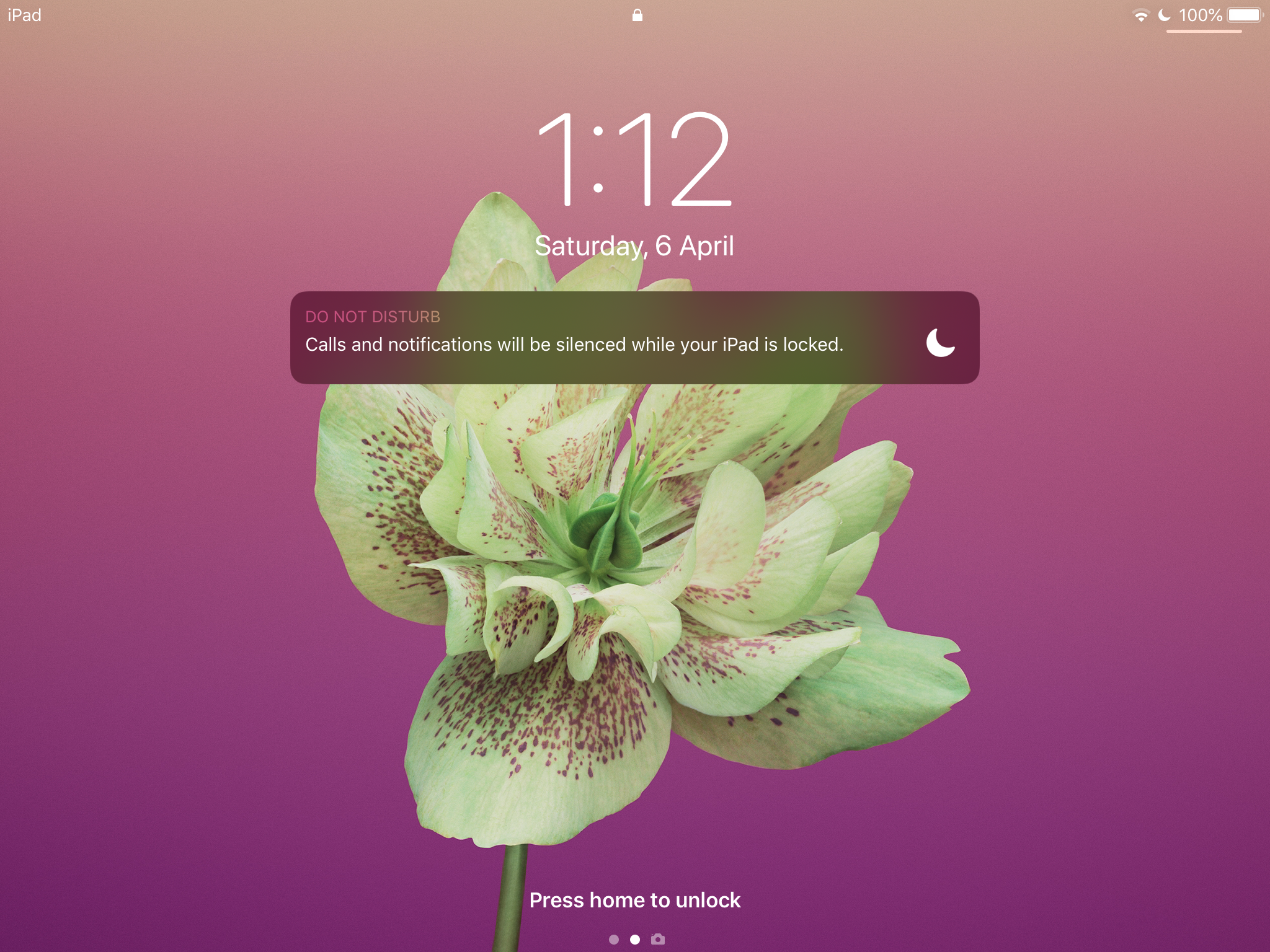 205C3BAD-D690-4C64-B5DB-62D5452C3007.png