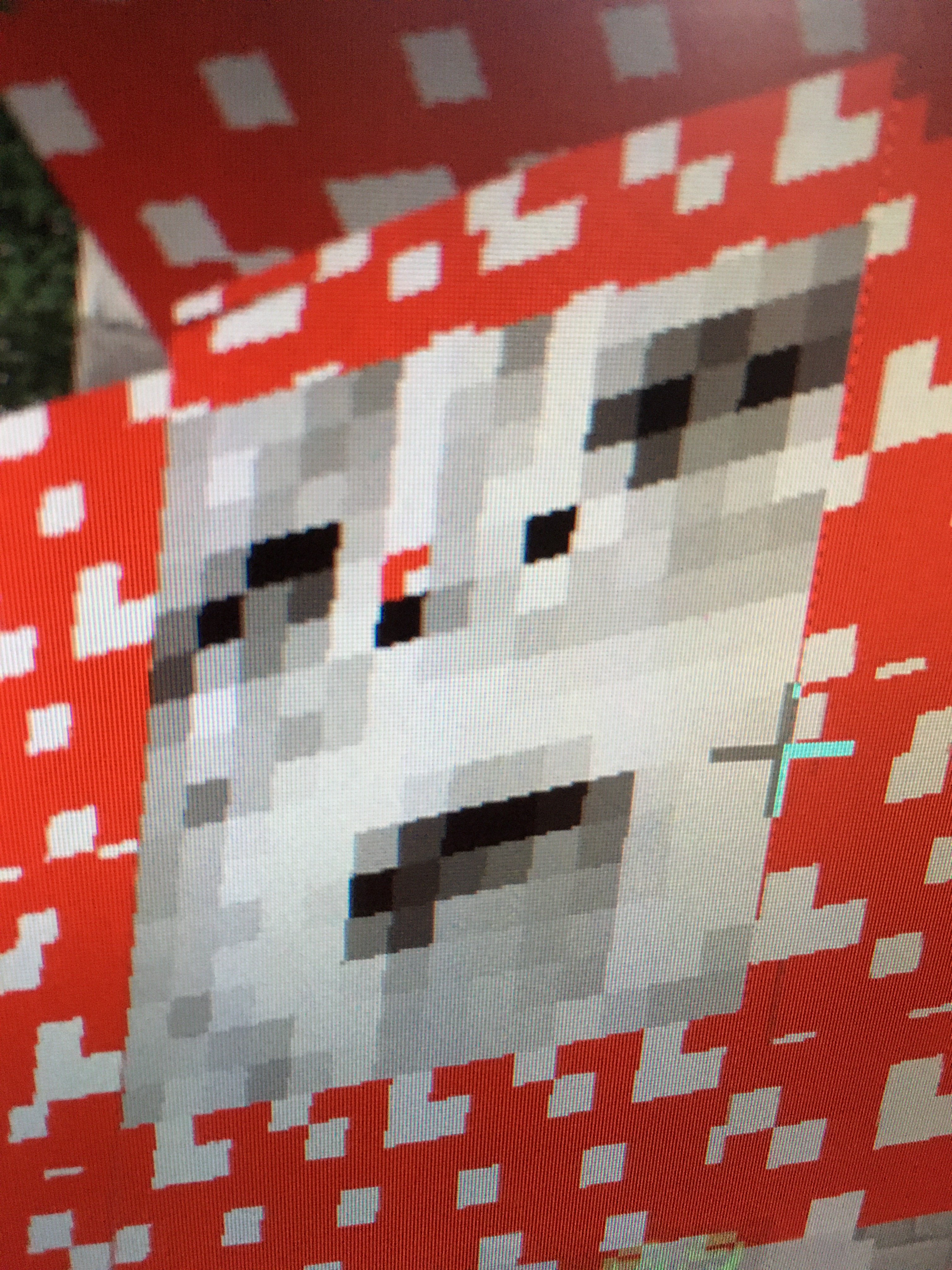 264C0B46-99AF-458A-93D5-36DA44D21E29.jpeg
