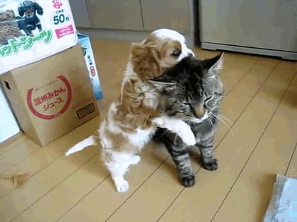 26f7211e47f4659679c0020fb61b3bc1.gif