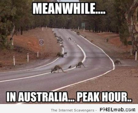 27-peak-hour-in-Australia-meme.png
