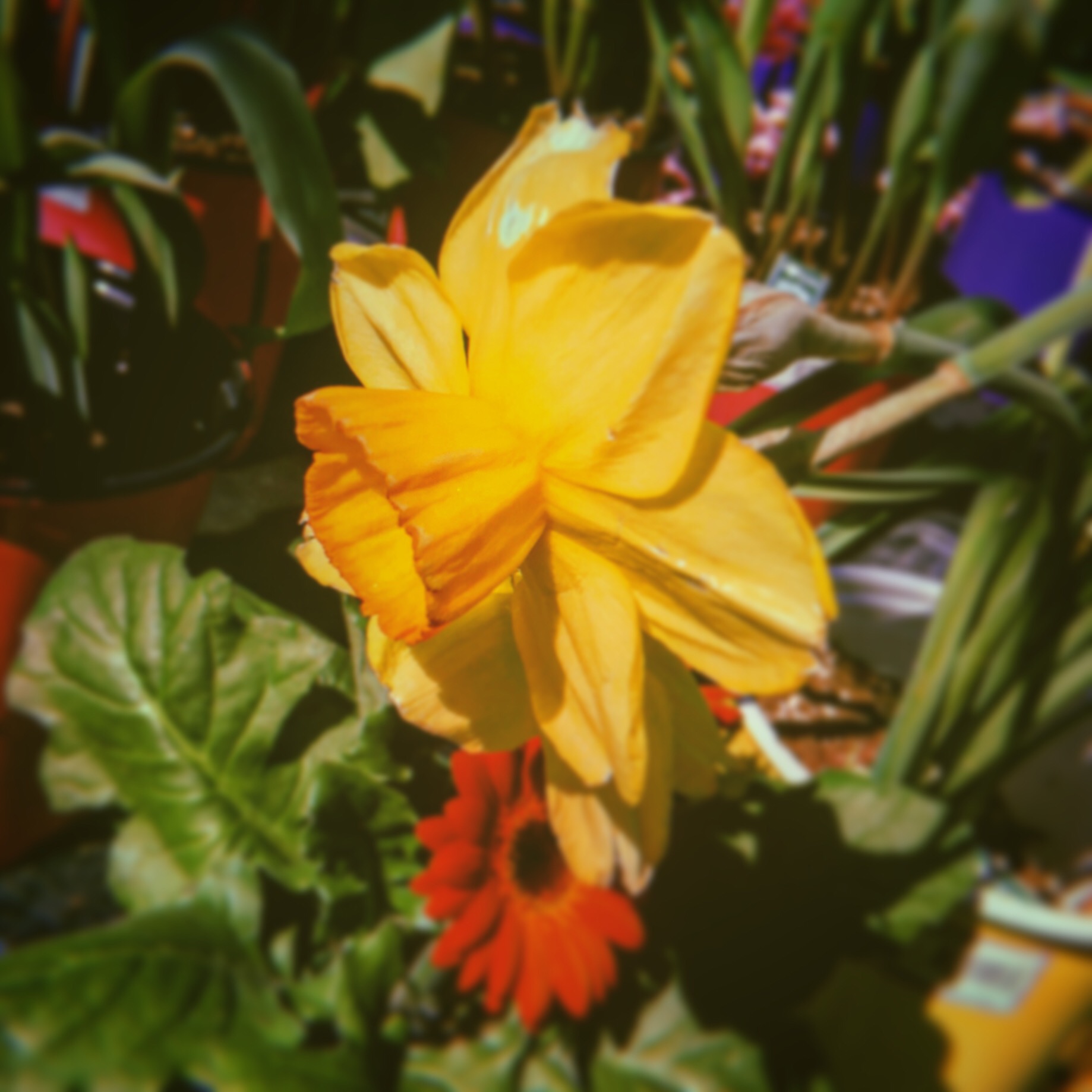 285CD700-F40A-4E34-A466-6AC298820D64.jpeg