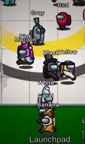 2A8A8875-DFD8-4E27-9F32-54DA1EA5833F.gif