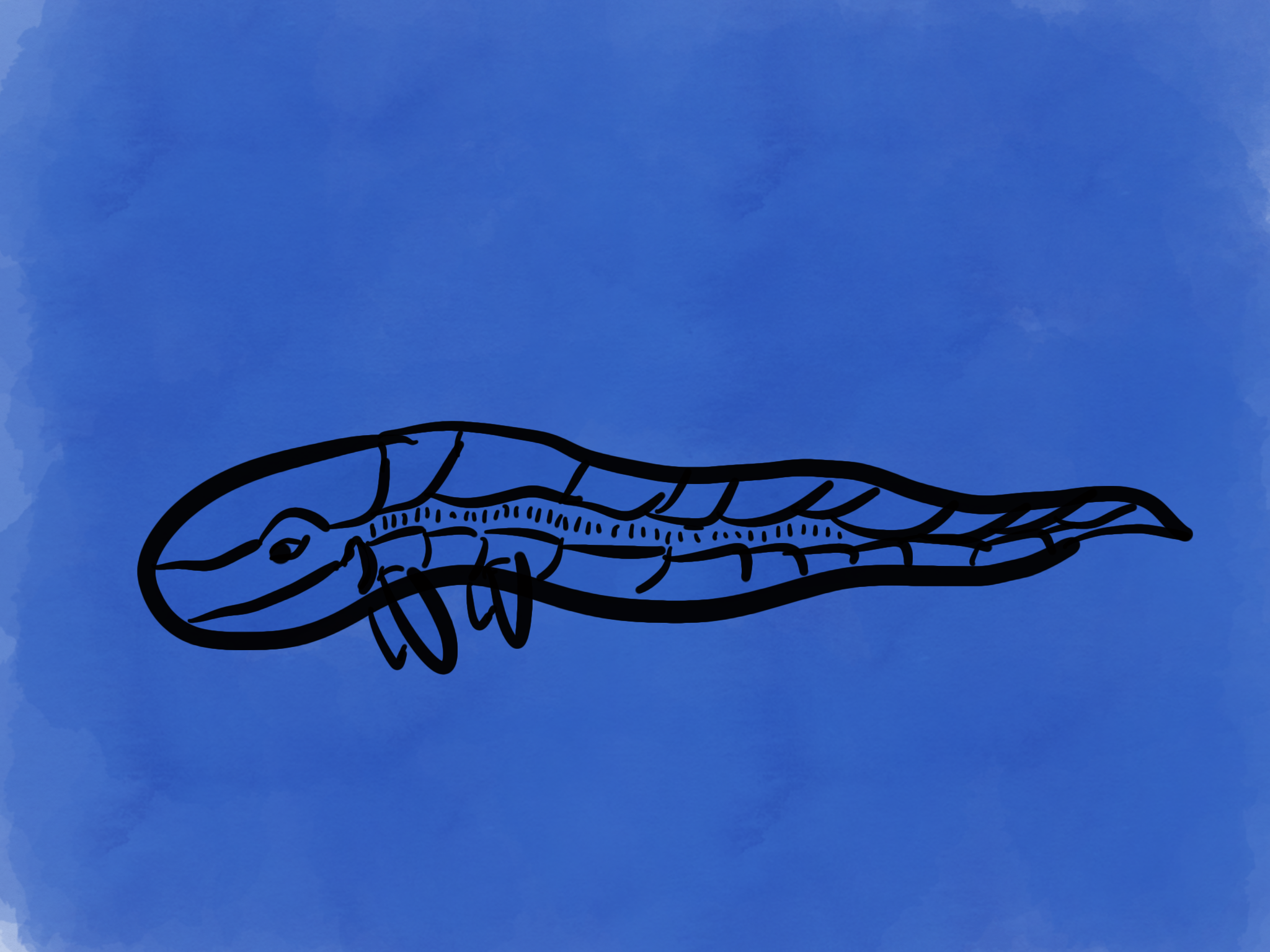 2C77A9F8-18BD-4E41-8BDE-7604063DBB4D.png