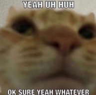 2D7026C3-1A42-41B7-928A-E9D2CC9F0049.jpeg