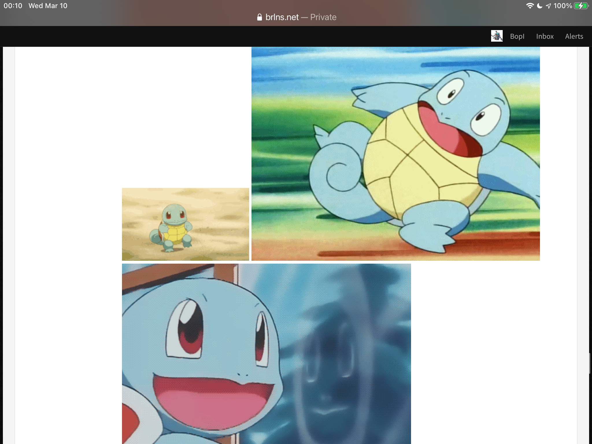 382DA597-8003-481F-B743-E5BA0DCE40EF.png
