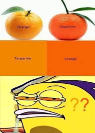 474BFDAA-397F-405F-A644-881F2C74FB73.jpeg