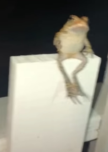 4CBA3EF7-F91A-4DA6-BE10-6EE9AA262DAB.jpeg