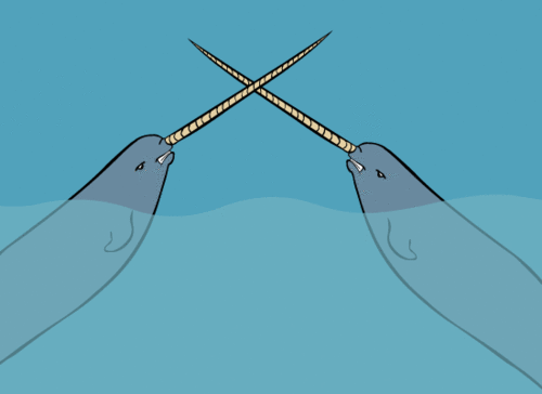 4F64794F-856E-401B-BDCE-DE324E7F64C6.gif
