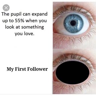 55738257_353099568633846_6244246966382858321_n.jpg