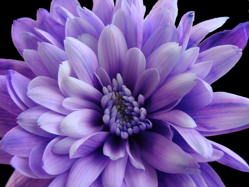 5B797B52-BBC9-44E5-8B9B-FE359F87D588.jpeg