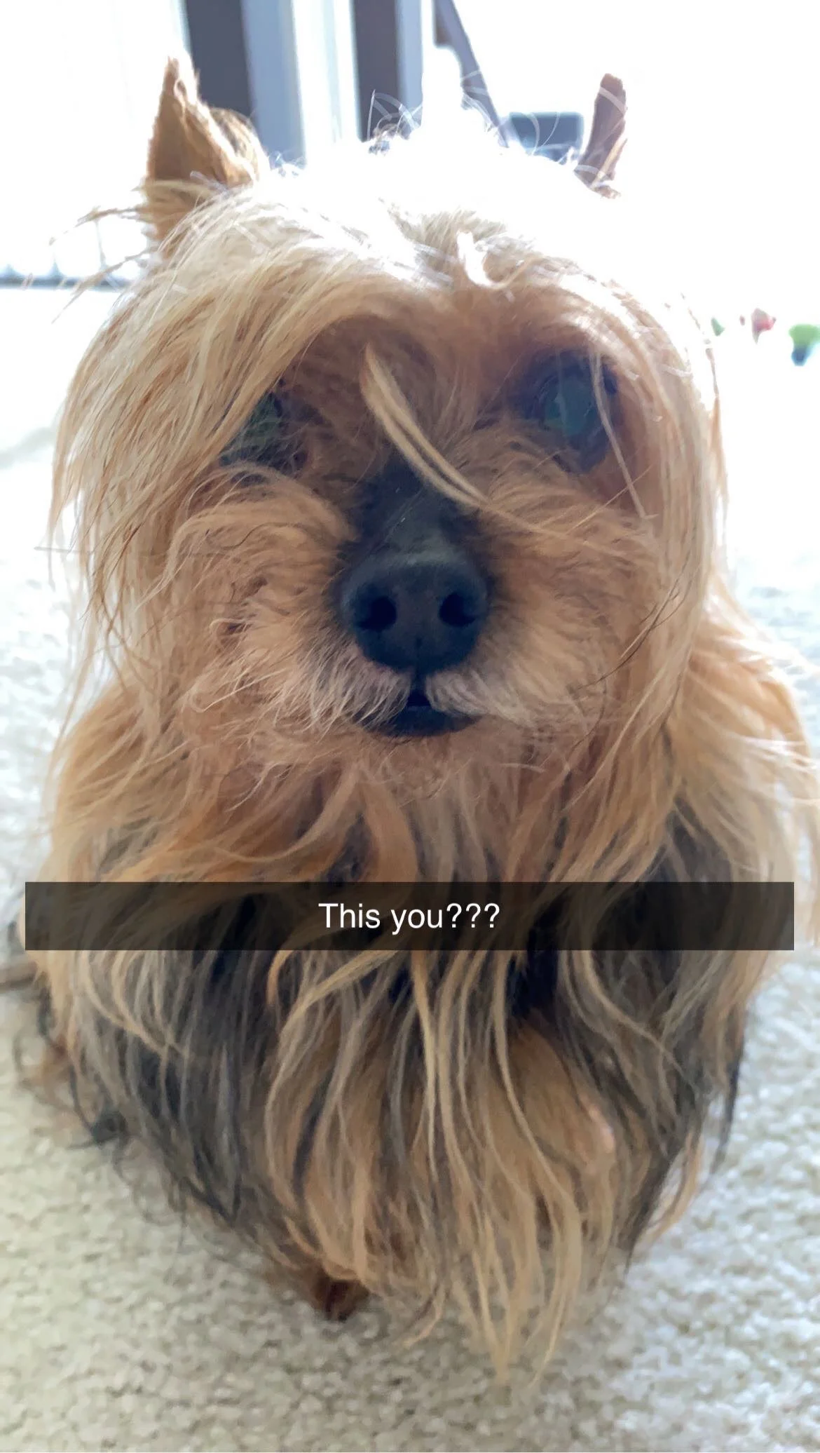 5C673F0D-72B7-4A1A-A75B-E302620213A9.webp