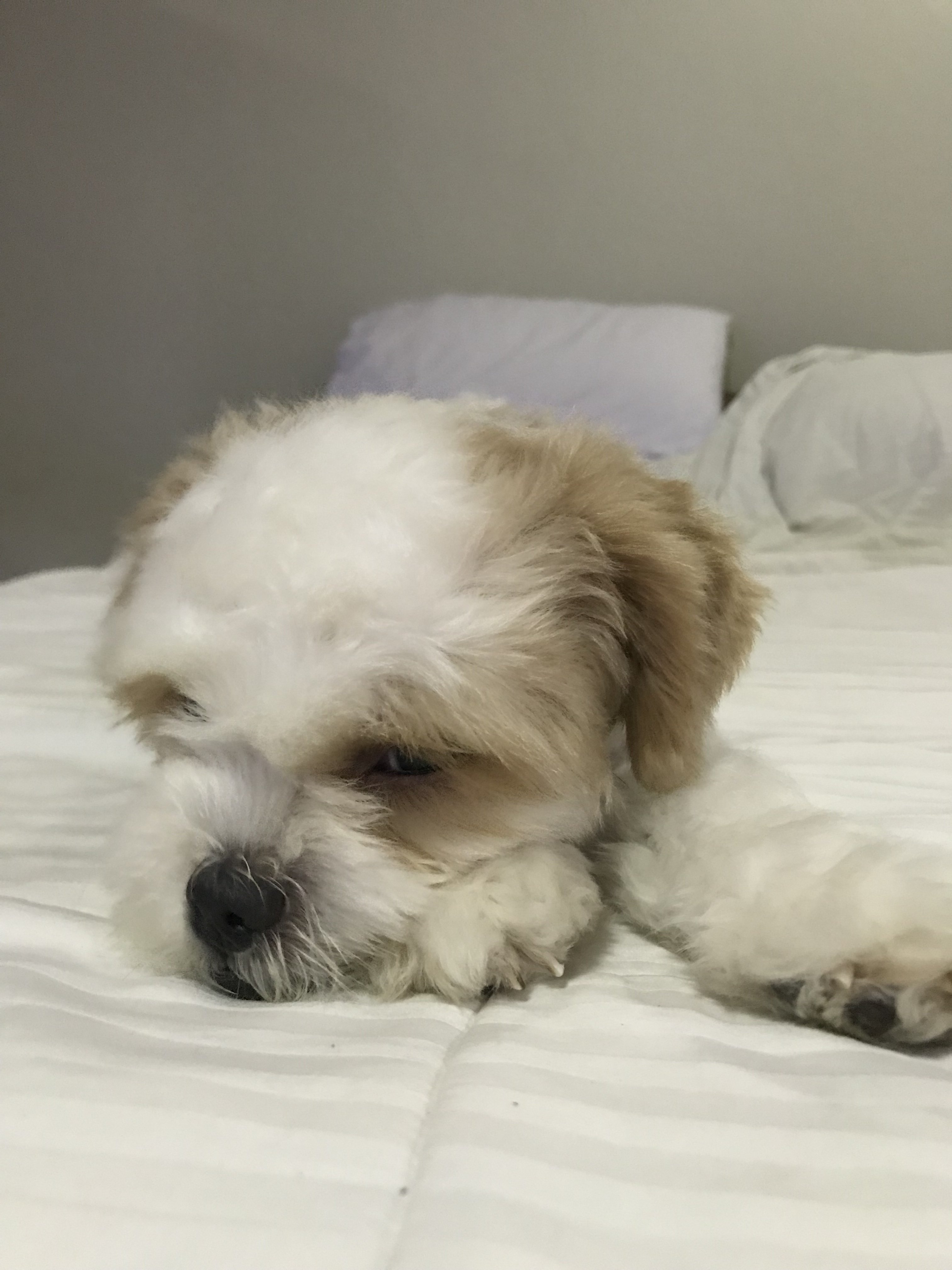 674FAA28-B18F-4902-A729-F66129593B46.jpeg