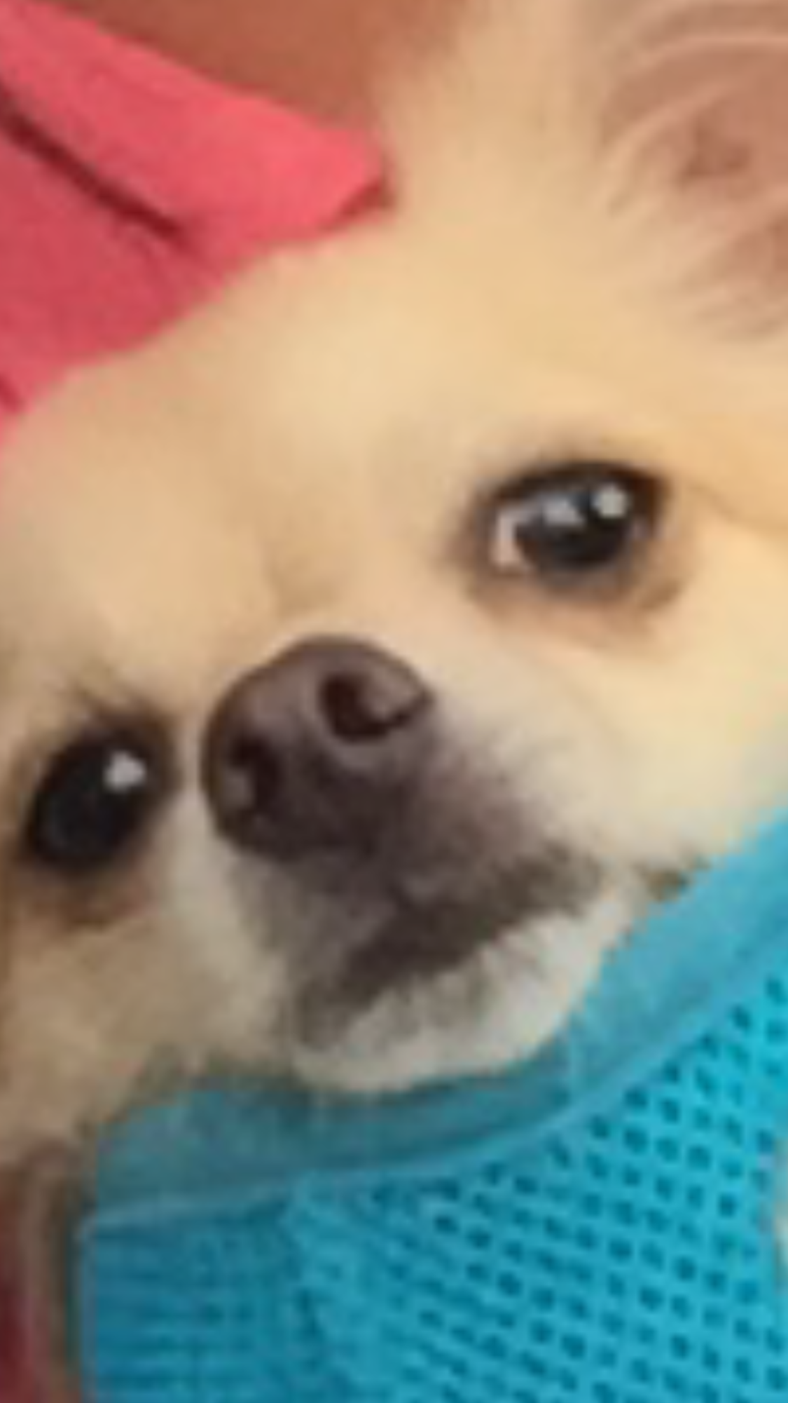 6DC94E3F-7637-4787-A830-880D6BB982B8.png