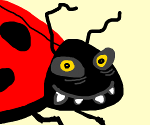764539DC-757F-4EE5-9D89-DF5DEE722D1B.png